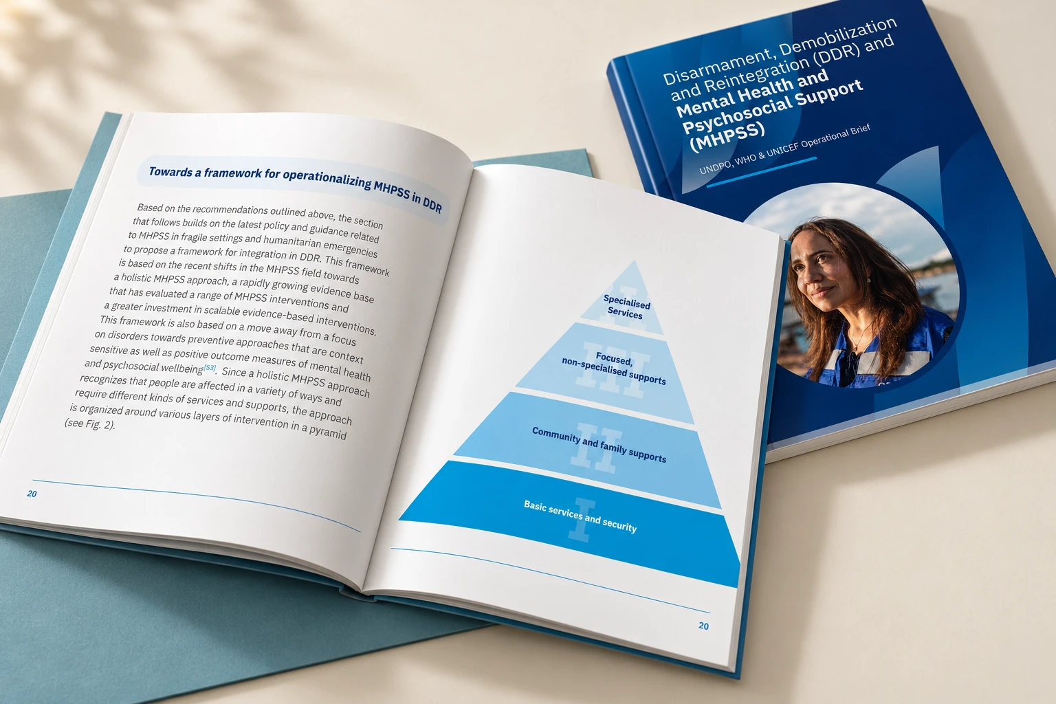 The support framework in a publication setting / editorial mockup